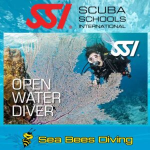 Open Water Diver Course – Nai Yang