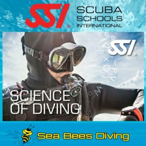 Science of Diving Specialty – Nai Yang