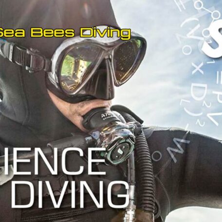 seabees-nai-yang-ssi-science-of-diving-course