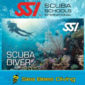 Scuba Diver Course – Nai Yang