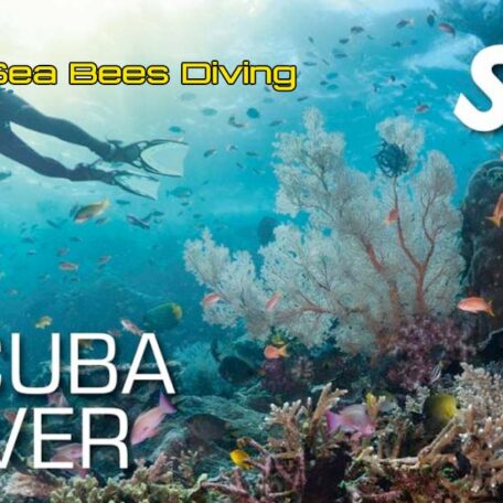seabees-nai-yang-ssi-scuba-diver-course