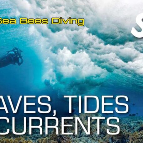 seabees-nai-yang-ssi-waves-tides-currents-course