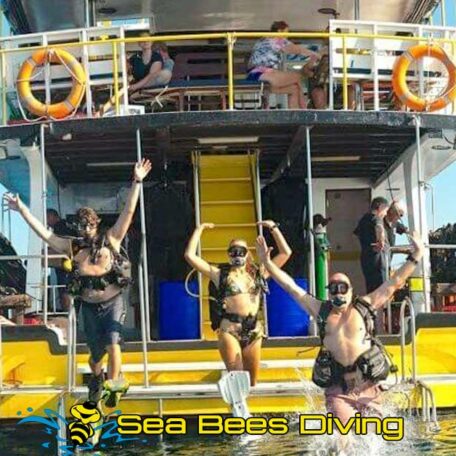 seabees-similans-liveaboard-marcoPolo-giant-stride