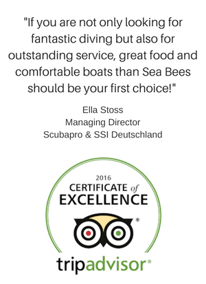 		if you are not only looking for fantastic diving but also for outstanding service, great food amd comfortable boats then sea bees should be your first choice - Ella Stoss. managing director scubapro and ssi ceuschland. trip advisor logo						 		