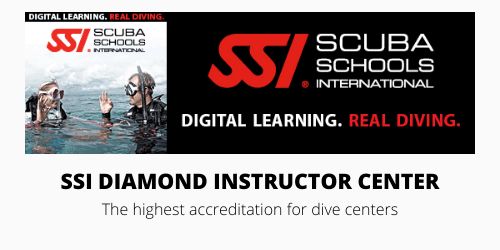 	SSI scuba courses with sea bees diving							 								 				