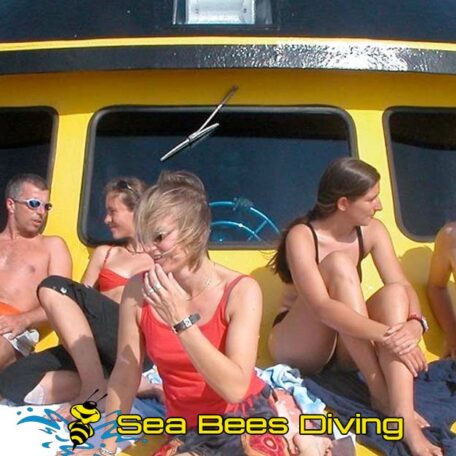 sun-deck-relaxing-excalibur-sea-bees