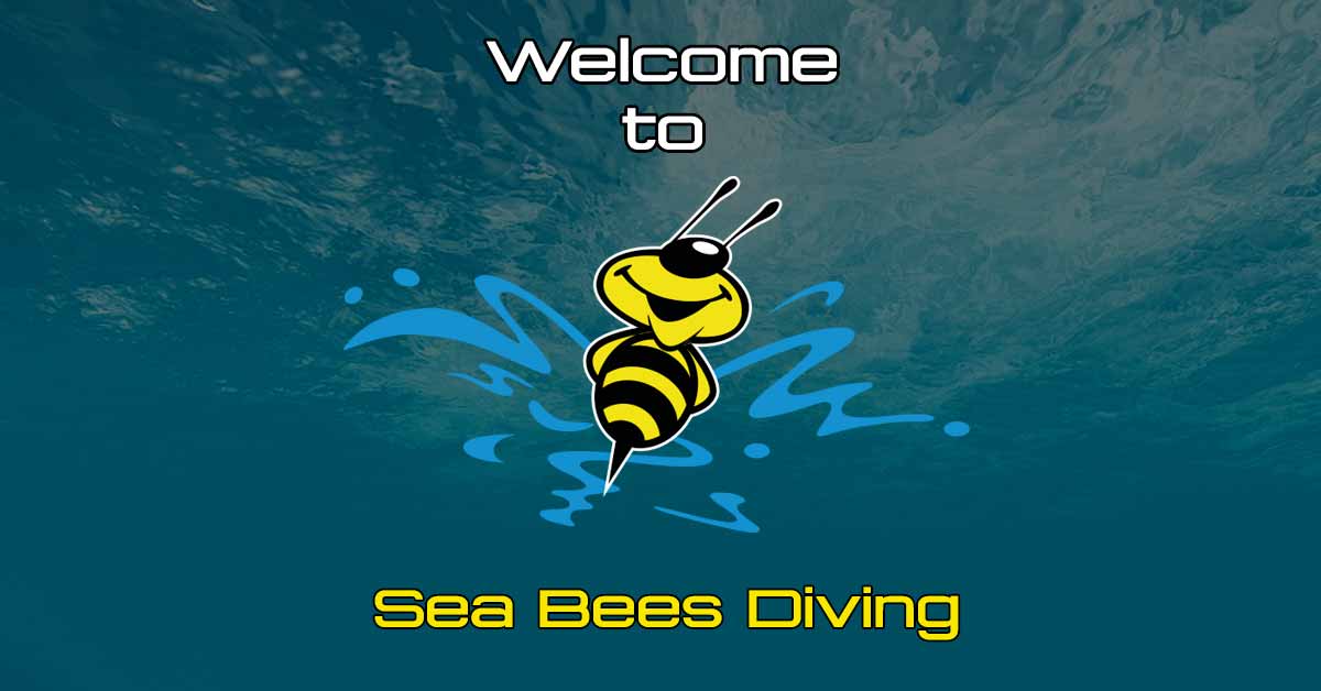 Sea Bees Diving Thailand